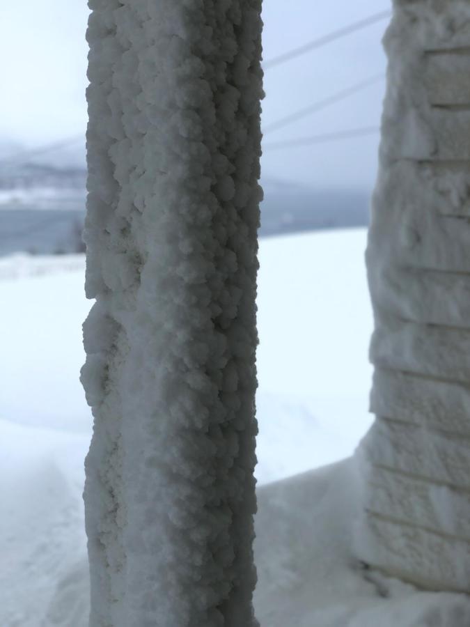 Moderne Og Trivelig Leilighet, Med Unik Utsikt Lägenhet Tromsø Exteriör bild